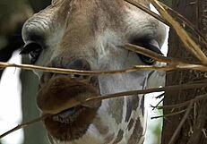 i explore why girls dont cum from licking wet pussy