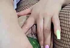 Sexo Con Pepinos Ardiente Colombiana Se Mete Un Pepino En La Vagina Con Mucho Placer La Coneja Rabitquicky Official Esta Sedienta De Verga Y Decide Meterse Un Pepino Hasta Venirse Muchas Veces