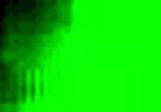 Cory Chase and Lory Lace in Taboo Gym Orgy