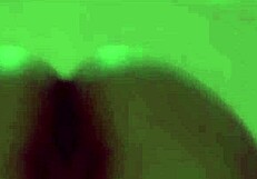 Hidden Cam Massage Turns To Sex With Indonesian