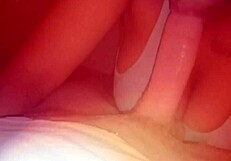 Teen amateur sucking cock at home