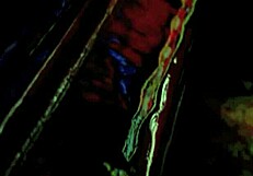 Vintage lesbians in my secret life