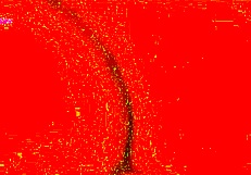 Bisexual Threesome With Bi Couple And Men In Double Penetration Now On XVideos Red!