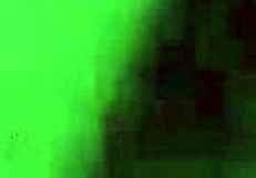 Ik ging op handen en voeten op de dildo