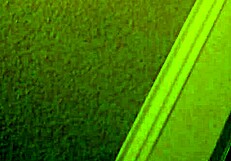 Overwhelmed By Desire For Asian Mature Hooker's Cheap Thrills