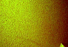 Overwhelmed By Desire For Asian Mature Hooker's Cheap Thrills