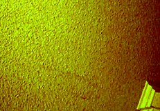 Overwhelmed By Desire For Asian Mature Hooker's Cheap Thrills