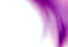 瑜伽狗爬式让她小穴湿透又爽！