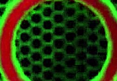 sa jay's devotee pawg nina kayy licks her mistress's big pussy lips. she dives into muff diving in lingerie.