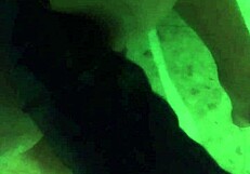 Ass Fisting Intense Anal Play