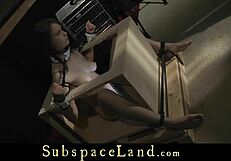 So, this guy gets box-bandaged and punished in the attic for fucking around.