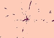 Milf cicciona audace e di classe matura creampied dall'amante in sesso casalingo