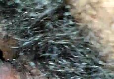 couple sex with horny passion