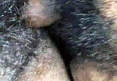 couple sex with horny passion