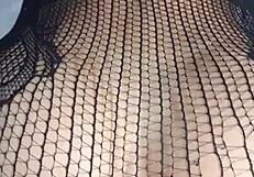 Cumshot facial and anal sex with creampie finish