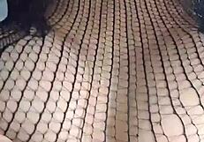 Cumshot facial and anal sex with creampie finish