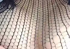 Cumshot facial and anal sex with creampie finish