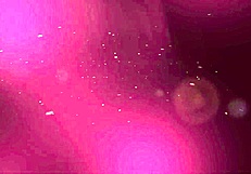 trailer for a mysterious revenge story