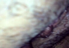 the first part of the amateur series