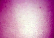 linda jovencita la ponen de perrito