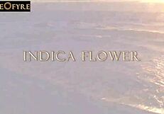 Indica Flower's Big Tits Bounce During Morning Fuck