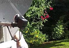 Sexy neighbor with big tits and ass