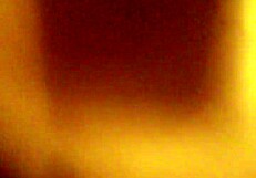 Big Fat Ass Booty Shaking