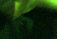 Big Fat Ass Booty Shaking