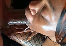 Mass Compilation Of Sloppy Fucking In Lace And Fishnets.