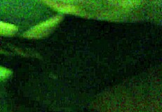 Big Fat Ass Booty Shaking