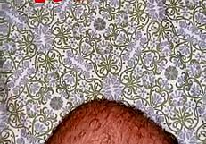 bondage hard sex with big cocks - is it your fantasy or just a tease?