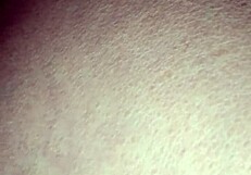 Explore The Vibrant Culture Of Mexico!