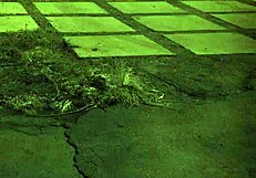 English Outdoor Milf Domination in Hardcore Teen Sex