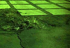 English Outdoor Milf Domination in Hardcore Teen Sex