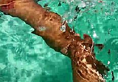 Time to Philosophize and Show Biggest Toy in Pool Softcore Fun