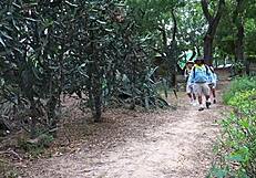 في رحلة تخييم أستكشف كس إيما أنتورين