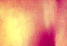 Leaked videos of eating the horny girl's pussy despite her pleas