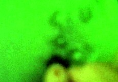 Jacking Off and Cumming on My Curvy Ass