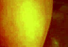 Giving it so good to my husband!