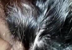 bbw hardcore amateurs daddy tits homemade