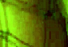 Big-Titted Blonde Strippers Get PUSSIES DRILLED