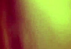 mandy and derrick enjoy casual moments