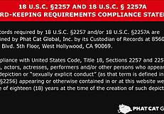 巨乳で美脚のロシア人とのハーフ美女が、今イチオシの人気女優の素顔を晒すエロドキュメンタリー「女熱大陸」に登場 1