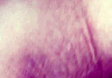 teasing the tip in intense anal assfucking action