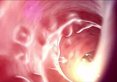 Impregnating my girlfriend's hot mom Lauryn Mae in the bedroom with handjob and clothes ripped. WCA Productions.