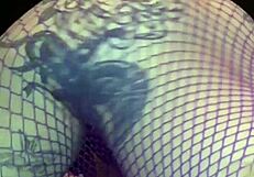 kyoho grapes season 4 features international milfs