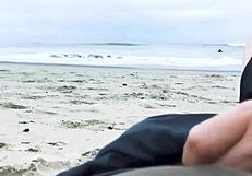 Handjob Blowjob Cumshot Risiko Awam Kompilasi