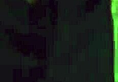 Muscled black mistress whips male slave