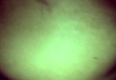 having sex in my friend's apartment with her permission