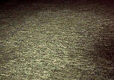 Ljubka najstnica 18+ Taya Tutsi se sleče v javnosti na disku, da pleše s prijateljico